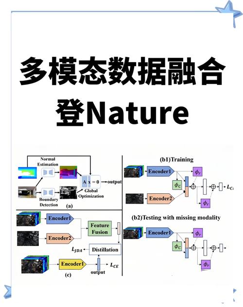 高质量数据助力深度学习，优化模型提升投资决策可靠性